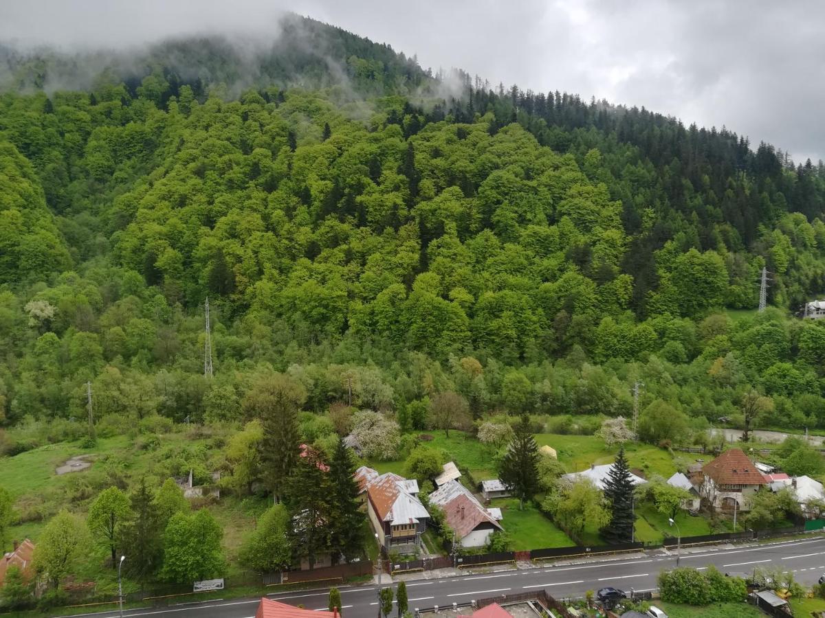 Sinaia Q Marie Apartment Exteriér fotografie